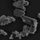 Electron microscope image showing meteorite dust fragments inhabited and processed by M. sedula.